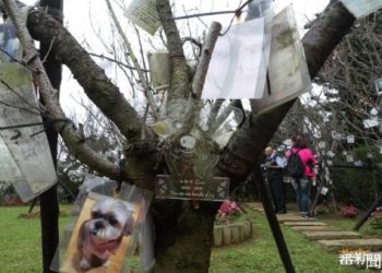 寵物身後怎麼辦?認識靈骨塔安置全攻略!