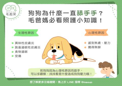 爱犬行为异常一直绕圈走怎么办必看解决攻略