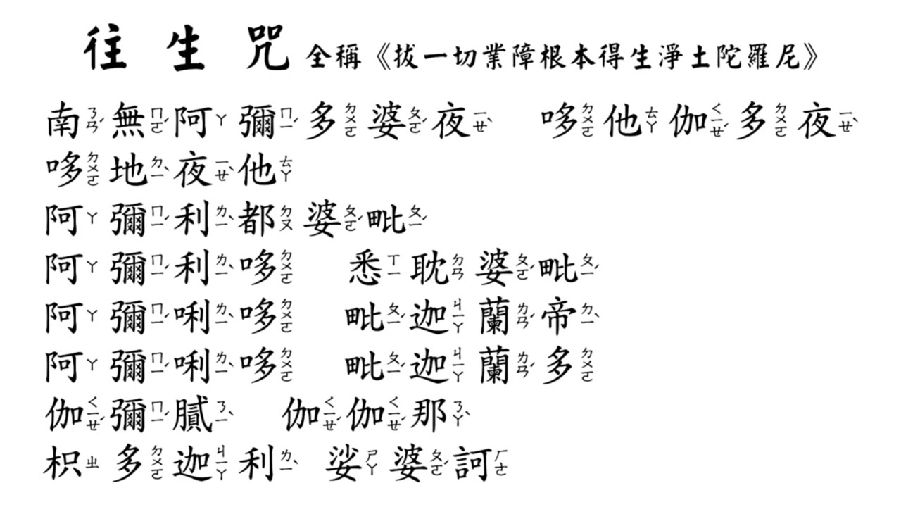 寵物往生 經 文哪種好用?推薦這4款經典版本對比!