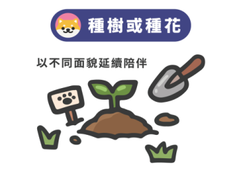 如何紀念愛寵？專家教您長久保存寵物毛髮的科學方法