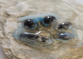 寵物骨灰紀念牌刻字內容？溫馨文案推薦