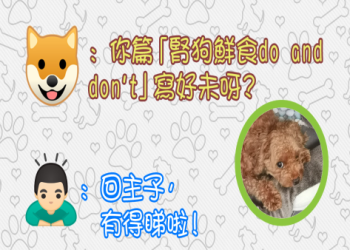 狗狗這些異常可能是腎衰竭!飼主必須留心的早期警訊