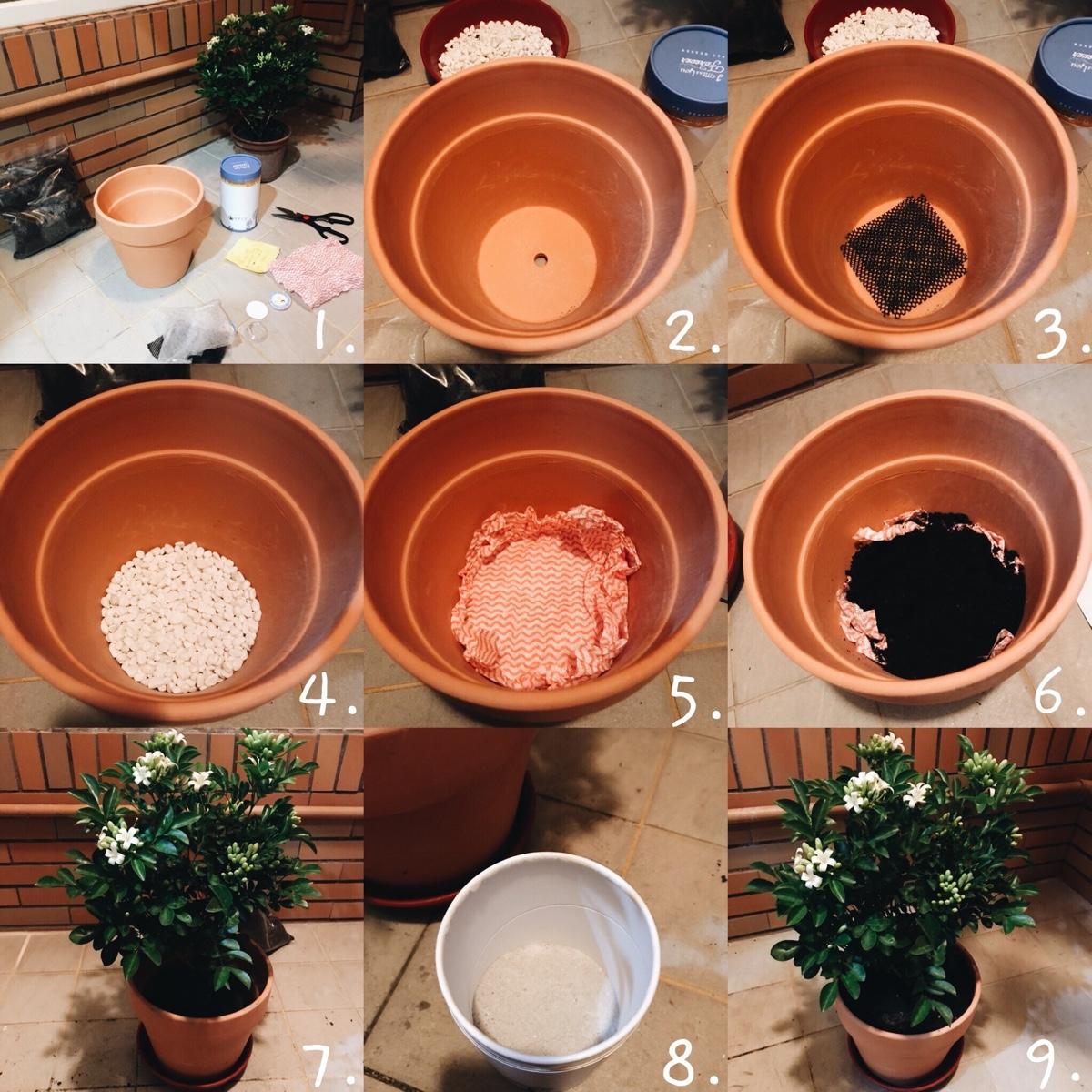 寵物樹葬盆栽怎麼做?5步驟教學讓愛寵長眠