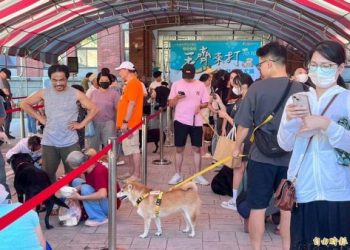 新竹狗狗火化延時收費？超時預約補償規則