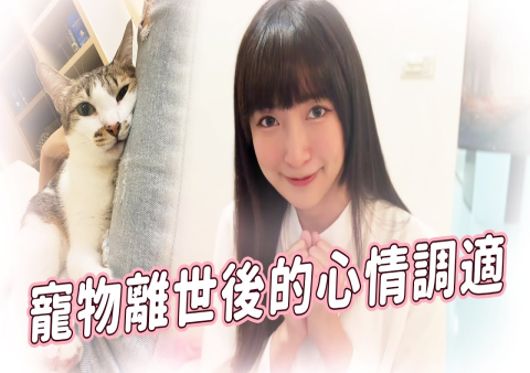 台灣寵物喪失哀傷調適:心理師授 7 步走出離別陰影