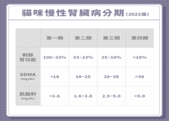 [圖文詳解]母貓腎衰竭可能出現的臨床症狀與外觀變化