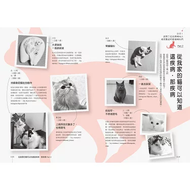 貓咪臨終前行為全解析:從躲藏到呼嚕的告別密碼