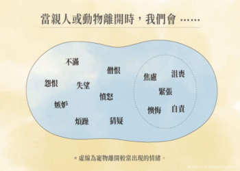 寵物去世四年仍深陷痛苦自責？這可能是複雜性哀傷,需專業協助