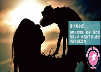 佩戴寵物骨灰飾品安全嗎？材質、密封性與心理影響評估