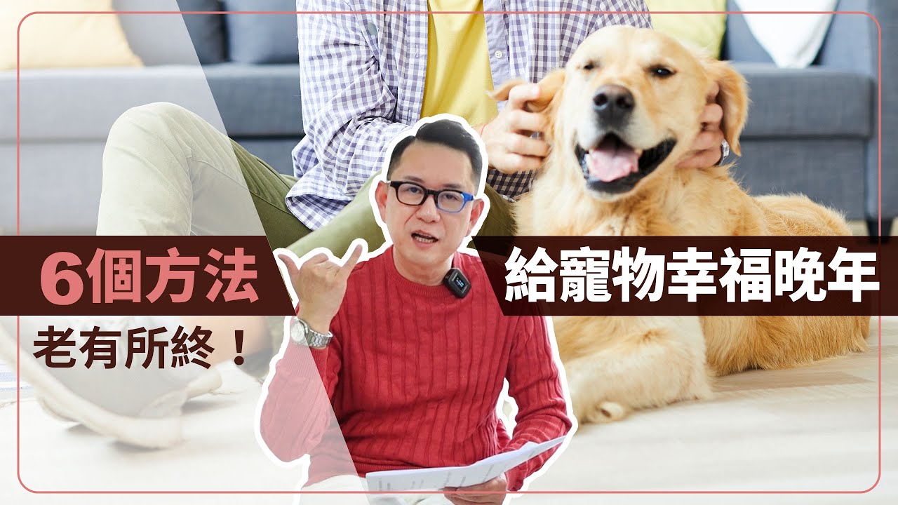 點樣俾狗狗安樂過生活 | 日常舒緩照顧技巧大公開