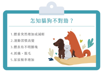 守護全臺222萬只毛小孩！ 2026寵物醫療照護五大新趨勢：精准化、居家化成主流