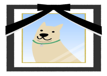 寵物骨灰怎麼處理？台灣常見紀念方式與法規限制