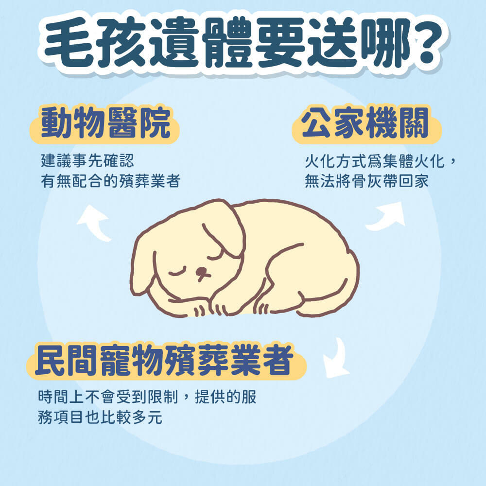 狗狗死了怎麼處理 - 必看完整步驟與注意事項說明