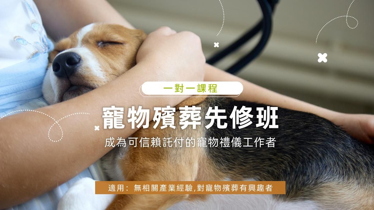 哪裡學寵物禮儀師課程?台灣推薦機構大公開!