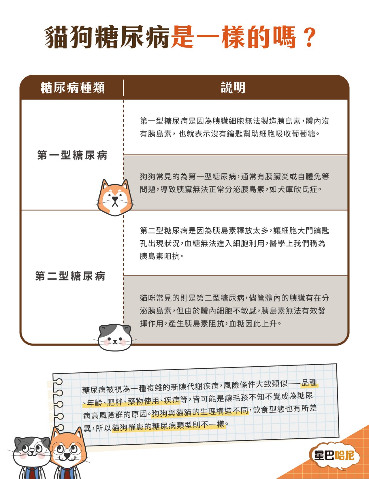造成貓咪血糖高上升原因—常見風險詳細解析