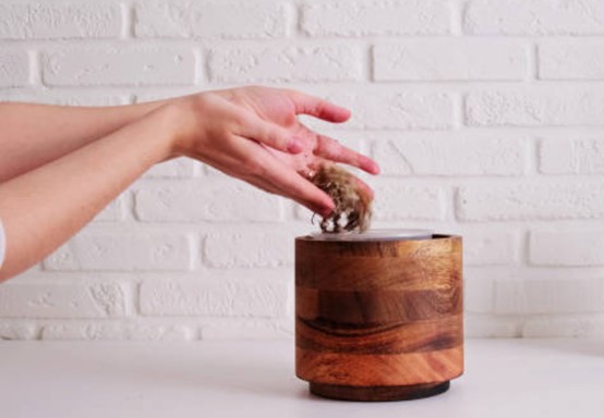 如何安全放置寵物骨灰罈在家?資深飼主經驗談!