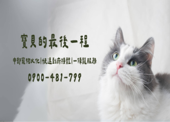 新北寵物納骨塔推薦？24 小時服務 + 管理費用