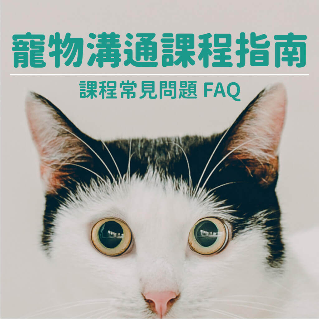 選擇寵物溝通注意費用,避免高價教學指南!