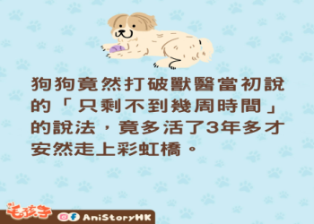 你的狗是否已接近生命終點？客觀檢視老化與疾病指標