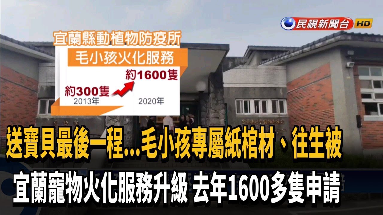 宜蘭寵物火化服務要注意啥?飼主避坑必看指南!