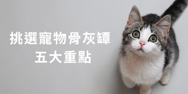 寵物骨灰罐怎麼挑?5個重點教你完美保存回憶!