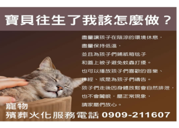 高雄寵物水化善終費用？10 公斤內 6500 元起