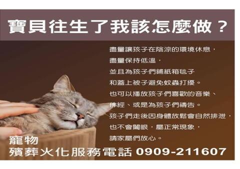 高雄寵物水化善終費用?10 公斤內 6500 元起