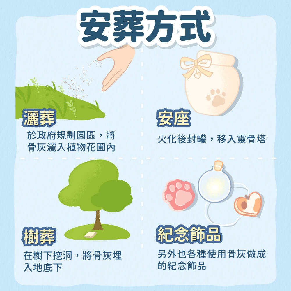 寵物火化骨灰怎麼選?5個步驟教你輕鬆做決定!