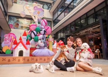 台中聖誕寵物展 1225 啟幕!免費入場抽 iPhone17 與萬元推車