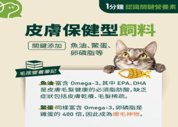 寵物跑步機成智商稅？專家：違背貓狗自然運動天性