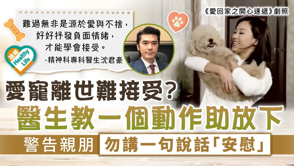 當寵物過世時如何給予適當安慰(3個關鍵策略專家教戰!)