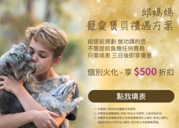 寵物殯葬全流程公開：從接體到紀念儀式的完整服務