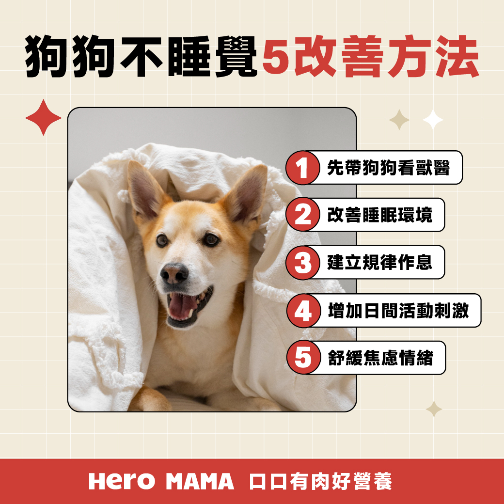 狗 狗 突然 晚上 不 睡覺 的常見問題 | 快速安撫步驟指南