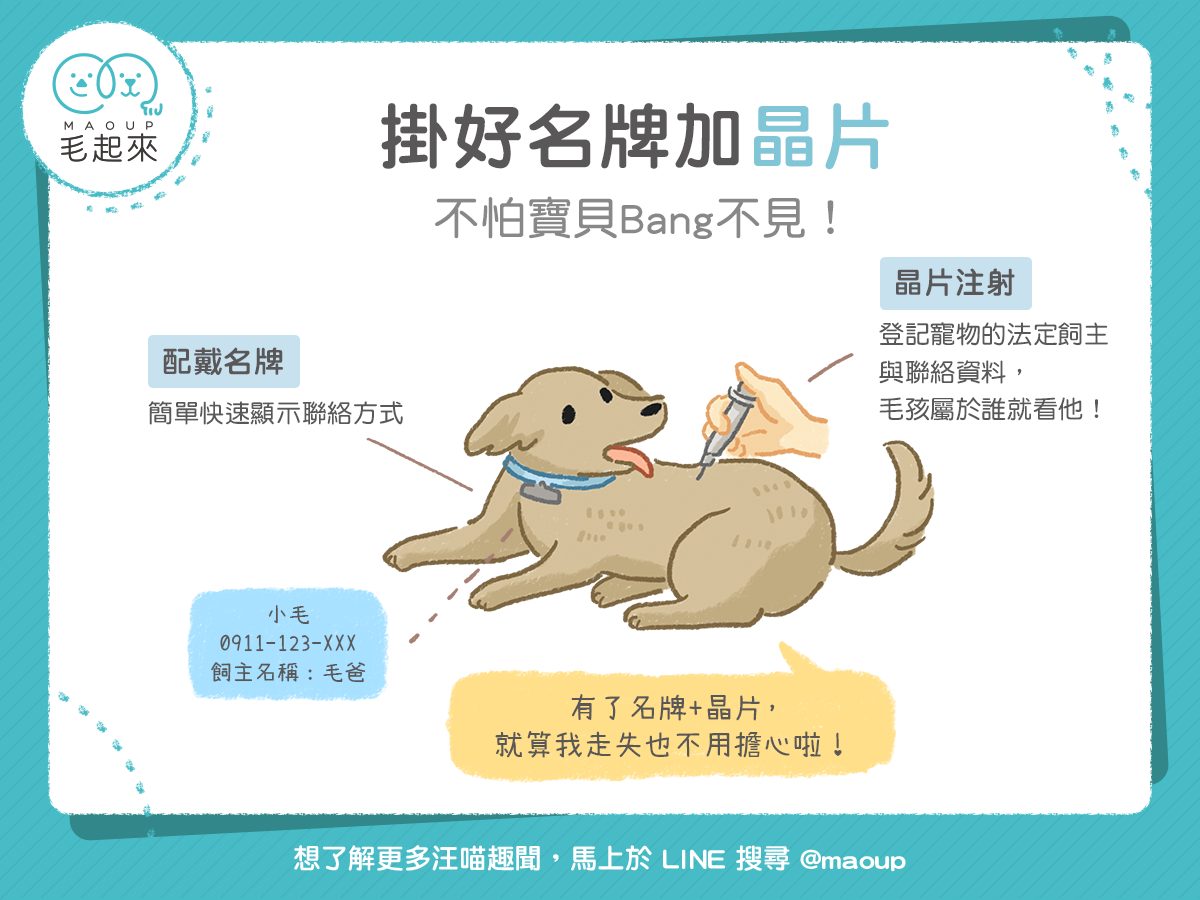 為什麼要寵物晶片註銷?(3個理由保護毛小孩!)