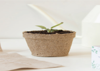 寵物骨灰做種子紙？台灣植栽紀念新體驗