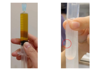 對抗貓傳染性腹膜炎(乾式)全記錄：滾蛋吧,FIP!