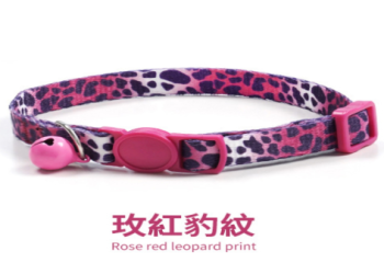 台北貓咪項圈可隨火化？業者安全規範與禁忌說明