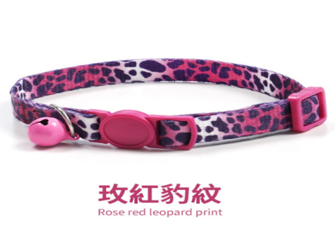 台北貓咪項圈可隨火化?業者安全規範與禁忌說明