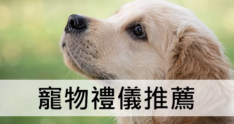 寵物後事台中哪家好?5家優質寵物殯葬推薦比較