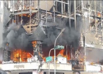 高雄貓咪火化混入小米祈福？原住民傳統儀式