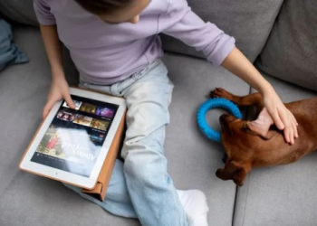 AI虛擬陪伴來襲：寵物火化後思念有了新寄託