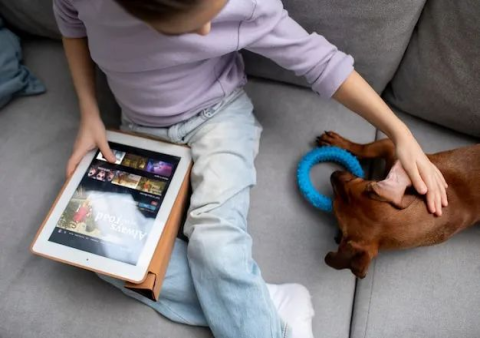 AI虛擬陪伴來襲:寵物火化後思念有了新寄託