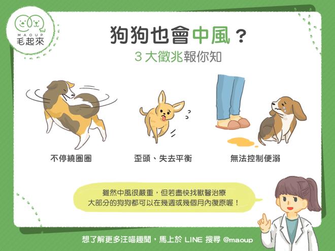 狗狗中風症狀有多危險 主人必知五個救命警號