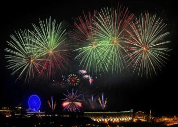 跨年煙火嚇跑毛孩？台北動保處：關窗 + 晶片免罰款