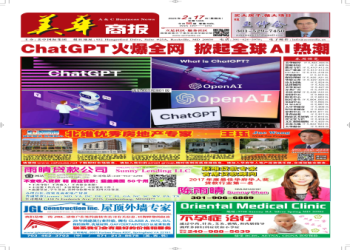 2025台灣寵物骨灰盒行業現狀：需求增長與競爭格局