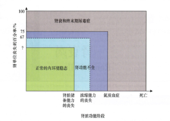 為何腎衰竭成為寵物頭號殺手？探討飲食、品種與環境因素