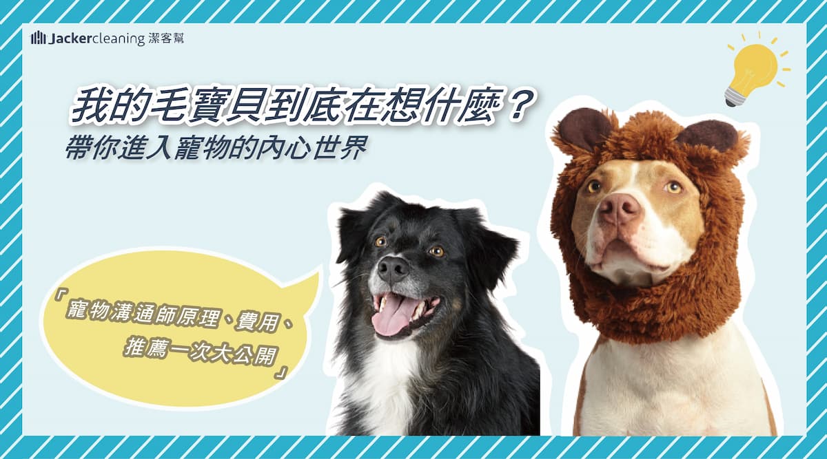 寵物溝通師推薦哪裡找?這3個管道最靠譜真實