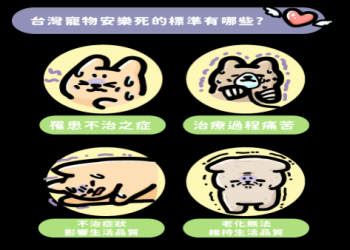 寵物安樂死：在什麼情況下,它才是一個慈悲的最後選擇？