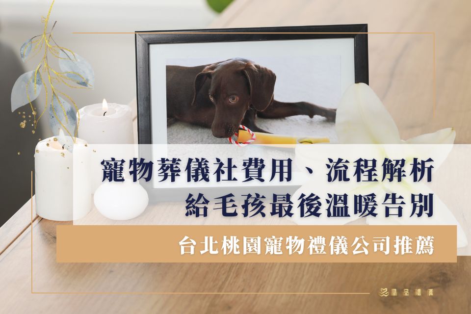 寵物納骨塔如何選？完整指南解析費用與服務內容!