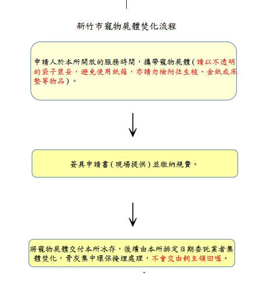 寵物火化第二殯儀館流程怎麼走?新手必看這5步驟!
